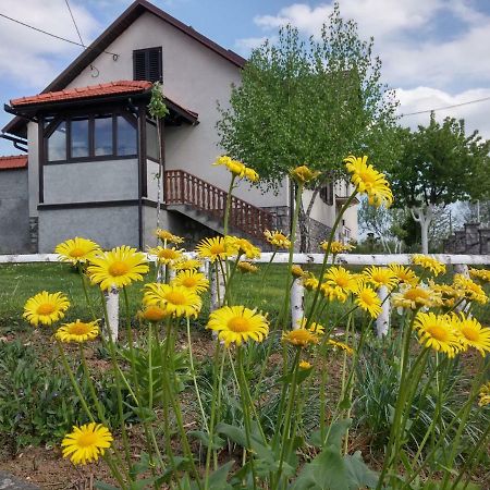 Apartment Rasce 오굴린 외부 사진