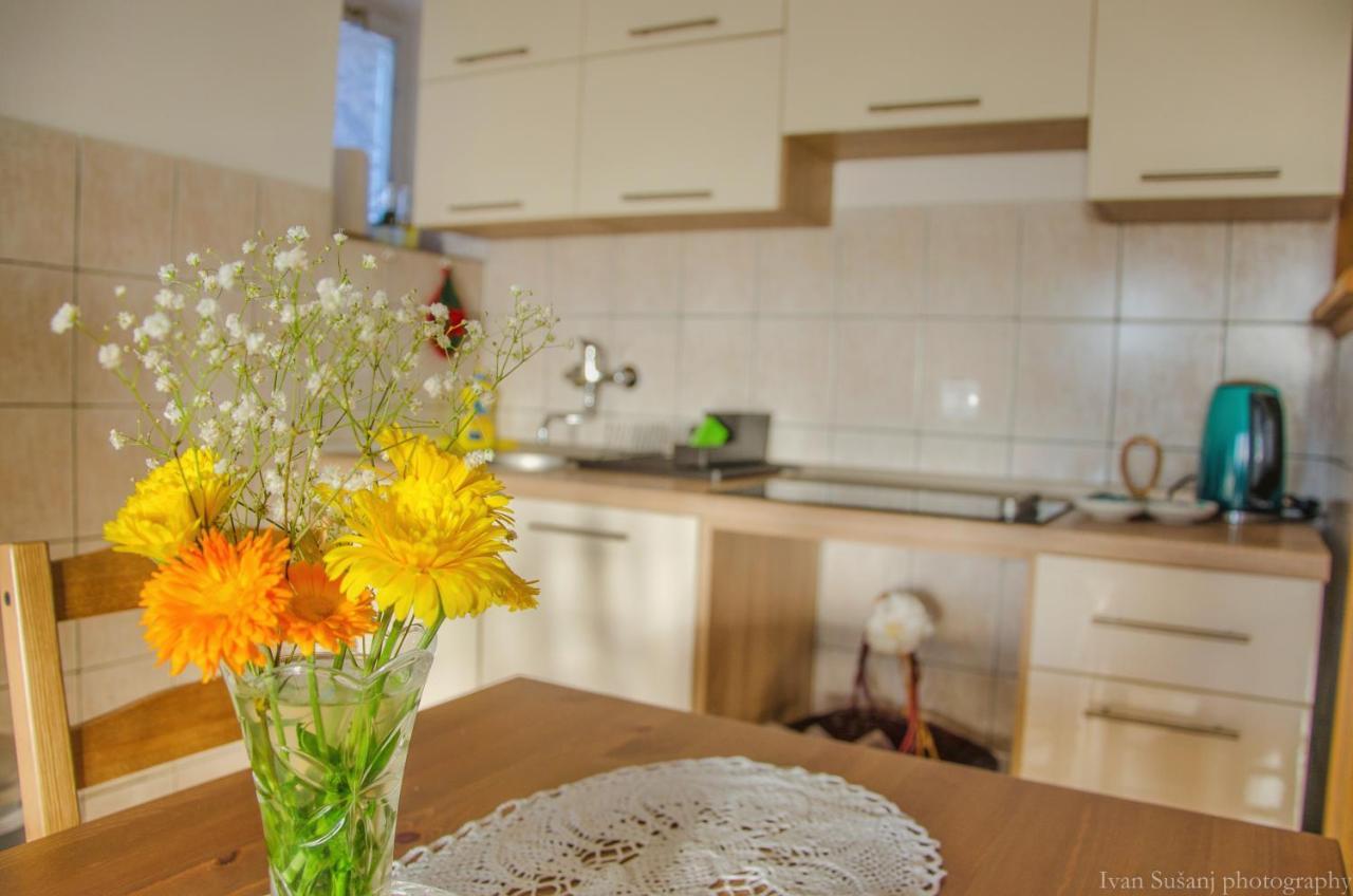 Apartment Rasce 오굴린 외부 사진